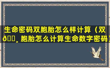 生命密码双胞胎怎么样计算（双 🌸 胞胎怎么计算生命数字密码）